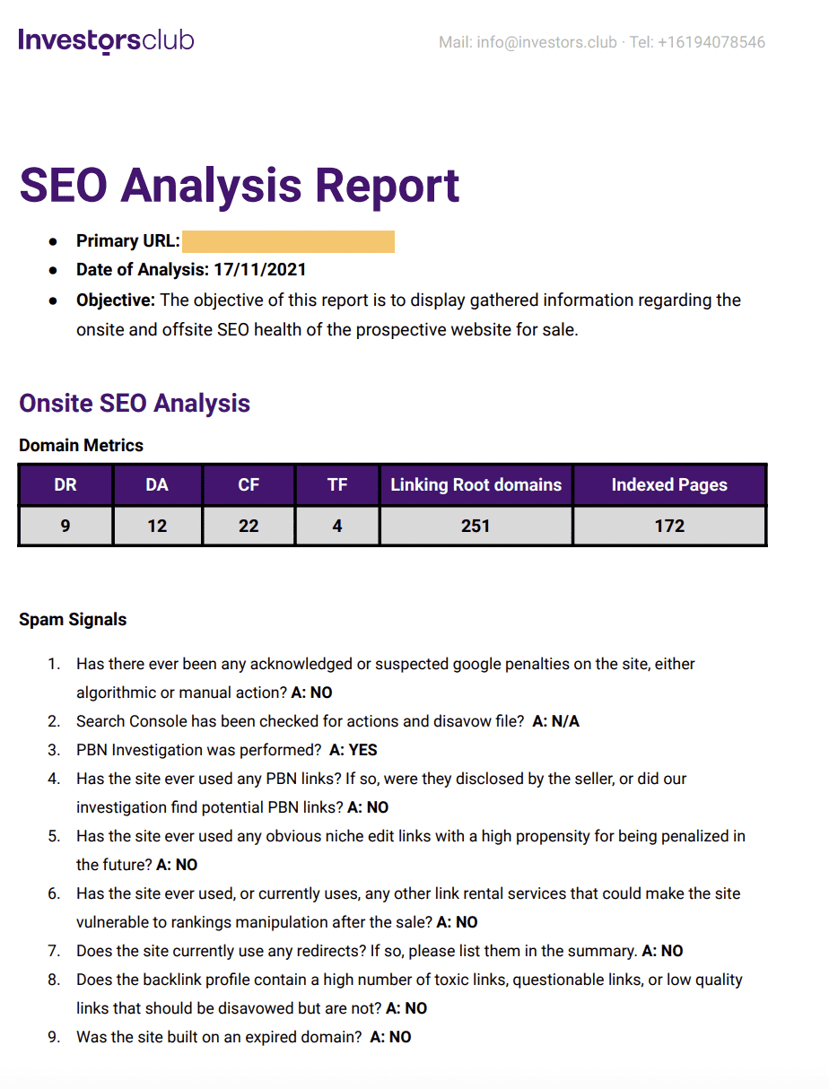 SEO analysis pdf report example
