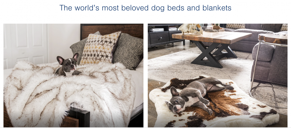 pet affiliate program 

Paw.com home page 